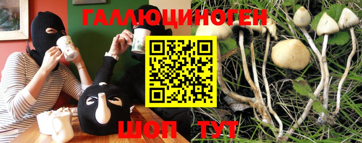 Псилоцибиновые грибы Cubensis Спасск-Дальний