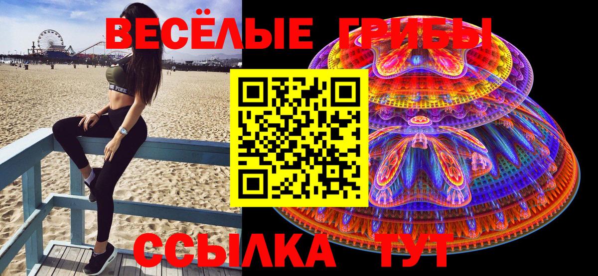 Псилоцибиновые грибы Psilocybe  Вход с VPN  Псилоцибиновые грибы прущие грибы  Спасск-Дальний 